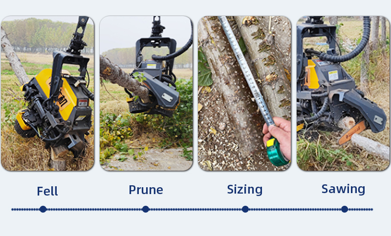 MÁY KHAI THÁC GỖ KEO, ĐỐN HẠ, BÓC TACH VỎ, CẮT KHÚC THANH HOÀNG